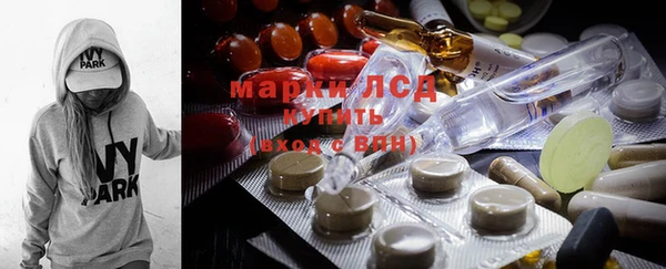 эйфоретик Карпинск