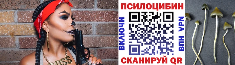 Купить закладки  Грязи  Галлюциногенные грибы Cubensis 