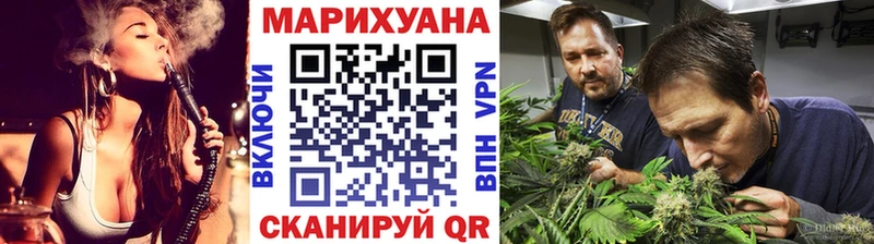 Купить где  Грязи  Каннабис White Widow 